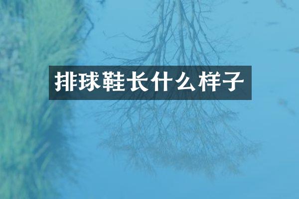 排球鞋长什么样子