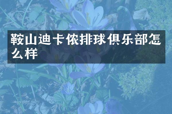 鞍山迪卡侬排球俱乐部怎么样