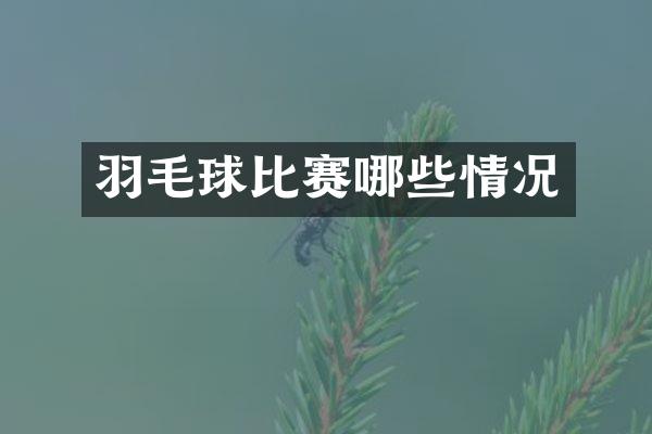 羽毛球比赛哪些情况