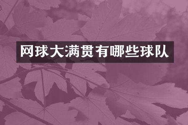 网球有哪些球队