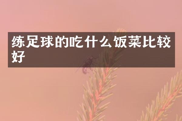 练足球的吃什么饭菜比较好