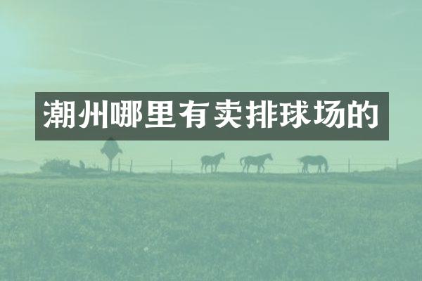潮州哪里有卖排球场的