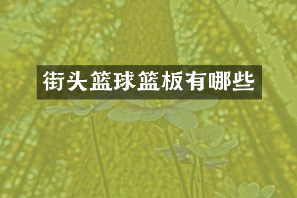 街头篮球篮板有哪些
