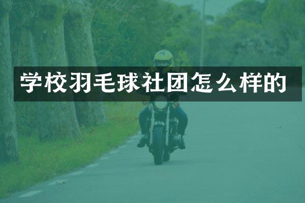 学校羽毛球社团怎么样的