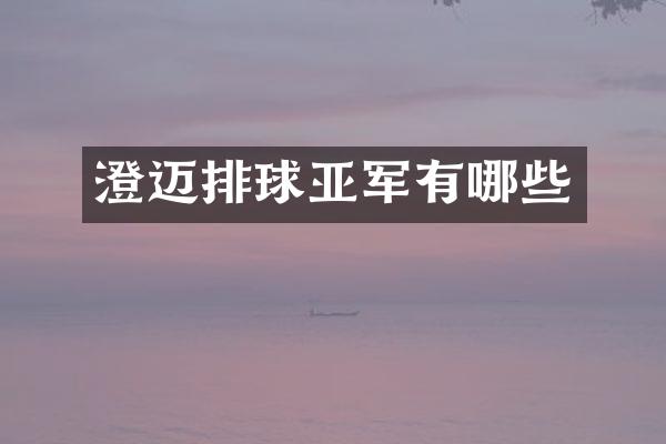 澄迈排球亚军有哪些