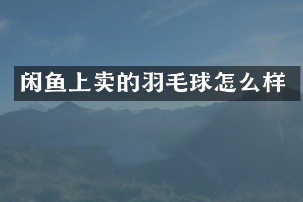 闲鱼上卖的羽毛球怎么样