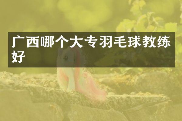 广西哪个大专羽毛球教练好