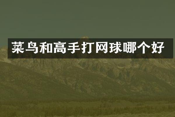 菜鸟和高手打网球哪个好