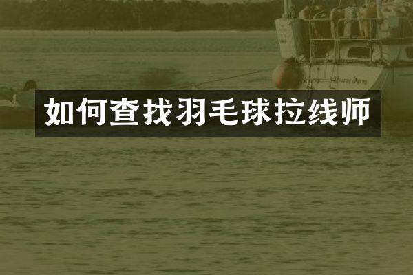如何查找羽毛球拉线师