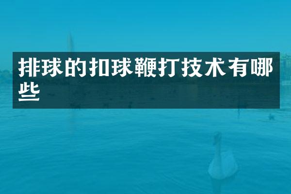 排球的扣球鞭打技术有哪些