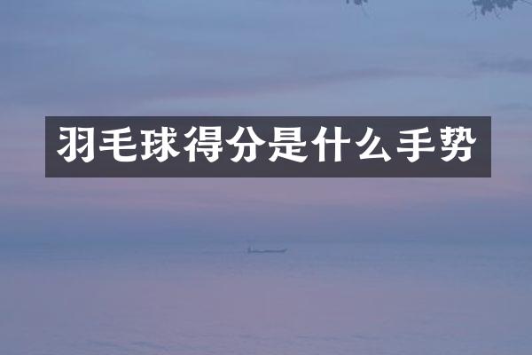 羽毛球得分是什么手势