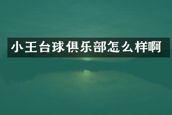 小王台球俱乐部怎么样啊