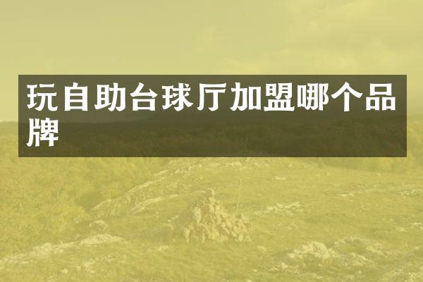 玩自助台球厅加盟哪个品牌