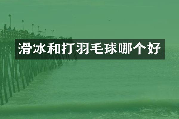 滑冰和打羽毛球哪个好