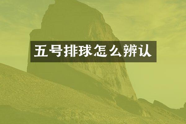 五号排球怎么辨认
