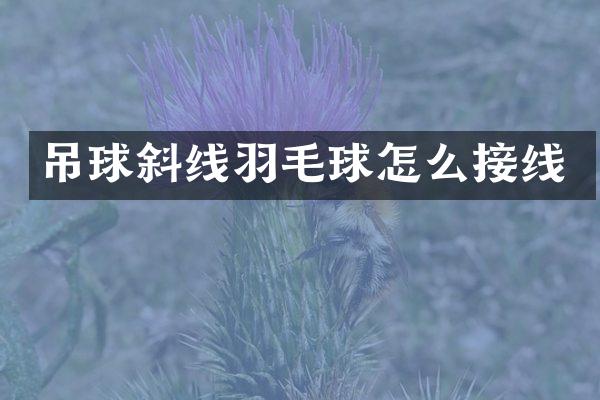 吊球斜线羽毛球怎么接线