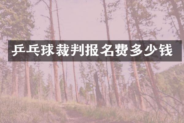 乒乓球裁判报名费多少钱