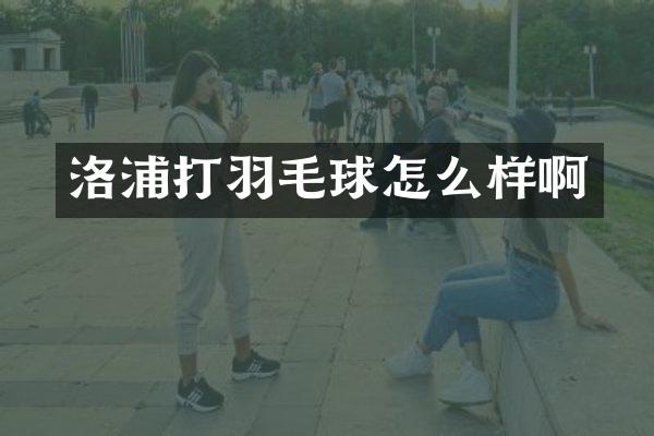 洛浦打羽毛球怎么样啊