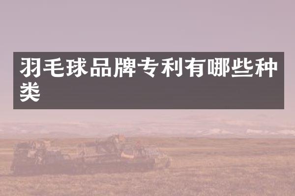 羽毛球品牌专利有哪些种类
