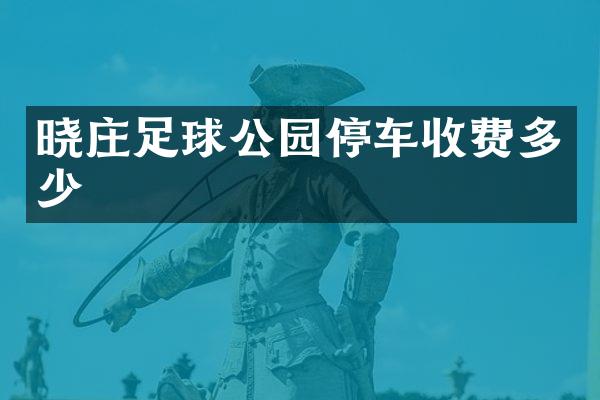 晓庄足球公园停车收费多少