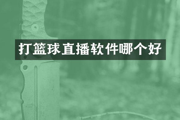 打篮球直播软件哪个好