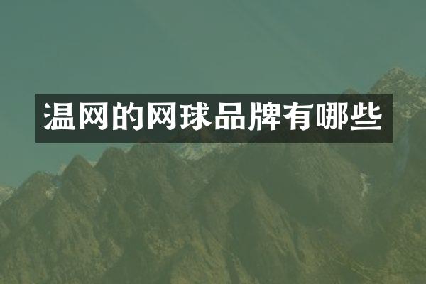 温网的网球品牌有哪些