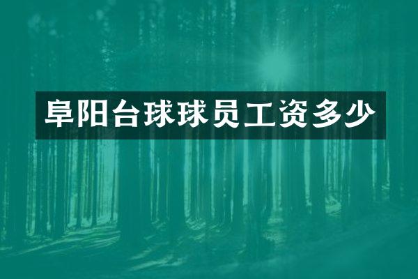 阜阳台球球员工资多少