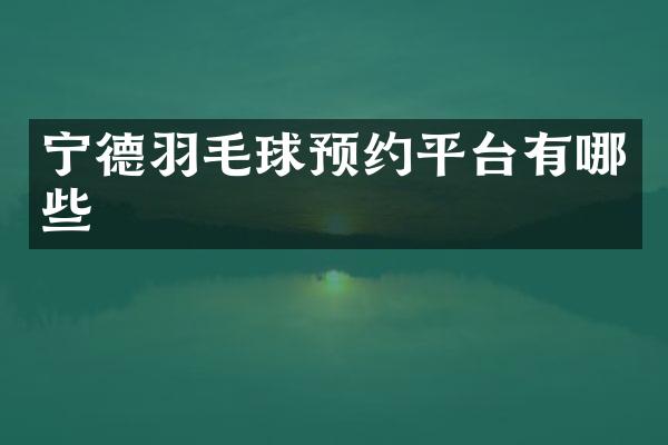 宁德羽毛球预约平台有哪些