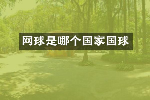 网球是哪个国家国球