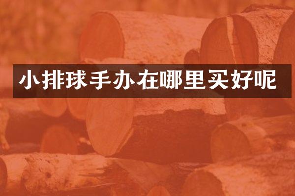 小排球手办在哪里买好呢