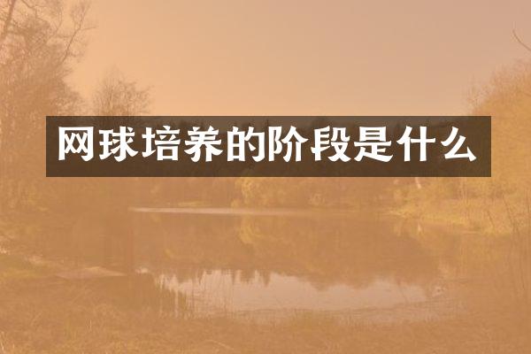 网球培养的阶段是什么