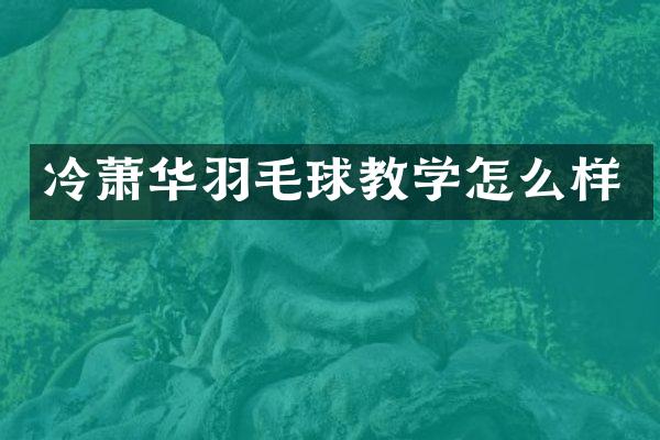冷萧华羽毛球教学怎么样