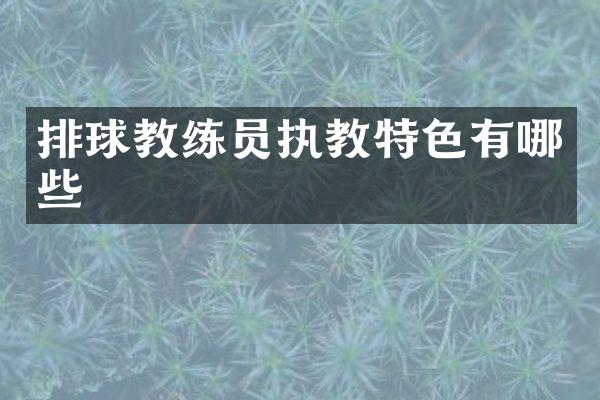 排球教练员执教特色有哪些