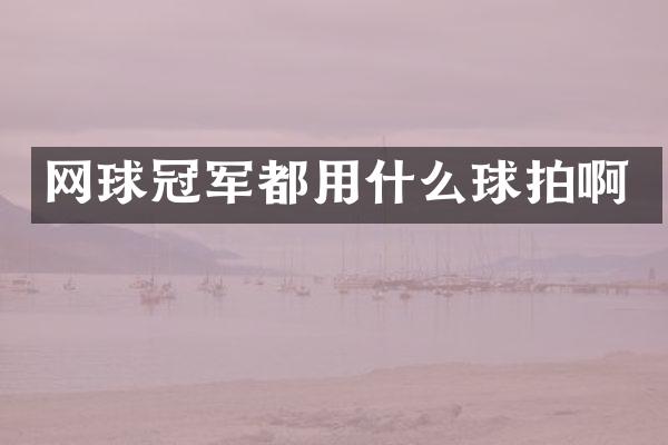 网球冠军都用什么球拍啊