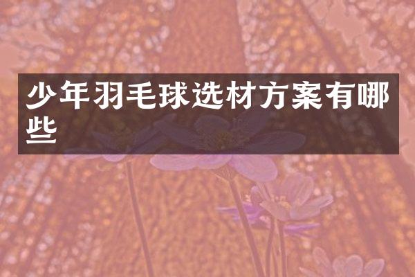 少年羽毛球选材方案有哪些
