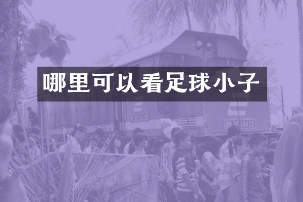 哪里可以看足球小子