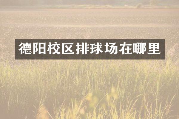 德阳校区排球场在哪里