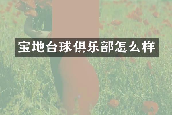 宝地台球俱乐部怎么样