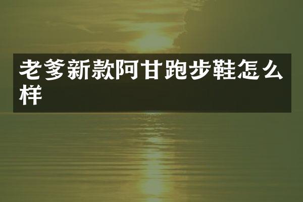 老爹新款阿甘跑步鞋怎么样