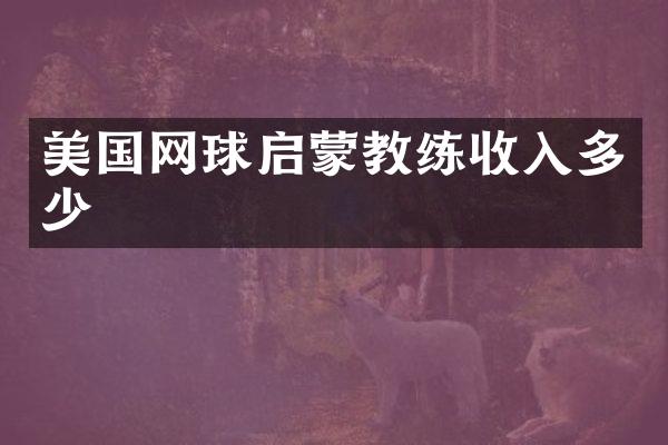 美国网球启蒙教练收入多少