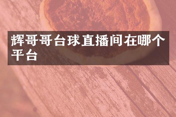 辉哥哥台球直播间在哪个平台