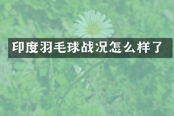 印度羽毛球战况怎么样了
