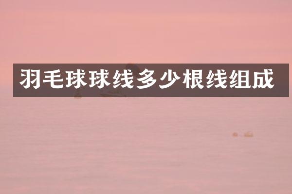 羽毛球球线多少根线组成