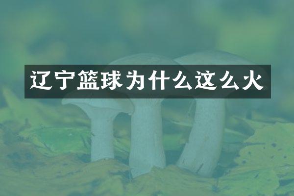 辽宁篮球为什么这么火