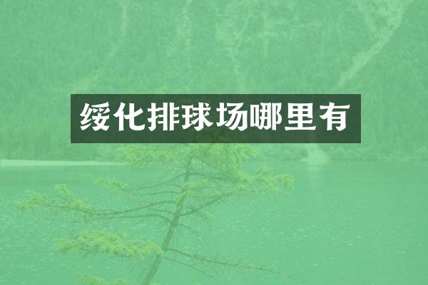 绥化排球场哪里有