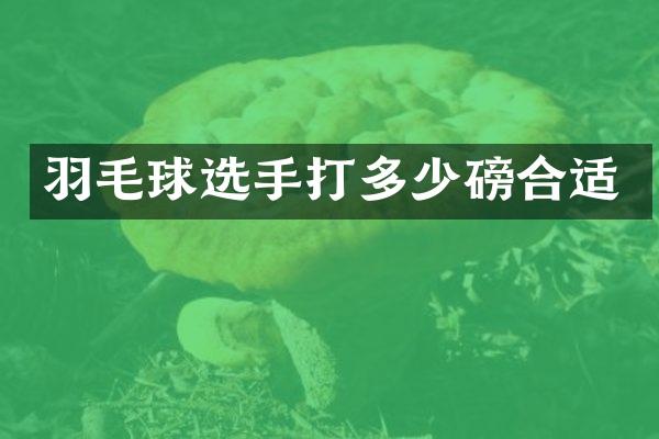羽毛球选手打多少磅合适