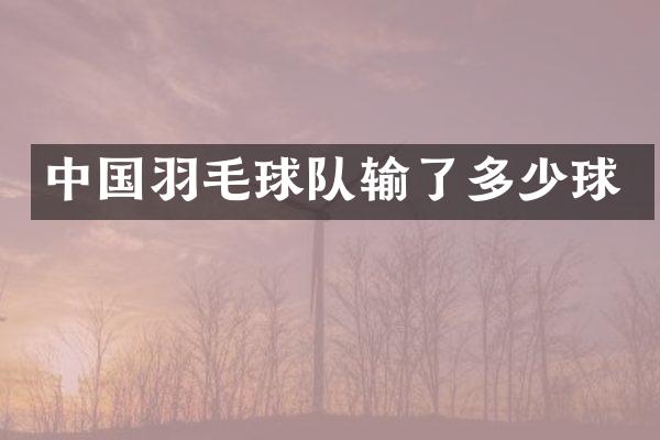 中国羽毛球队输了多少球