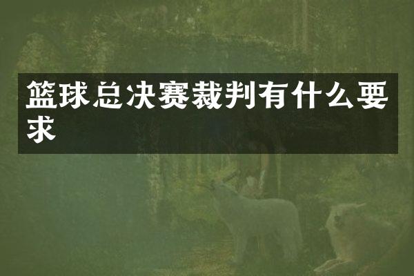 篮球总决赛裁判有什么要求