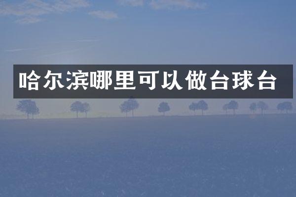 哈尔滨哪里可以做台球台