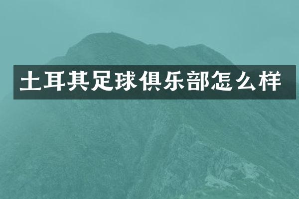 土耳其足球俱乐部怎么样